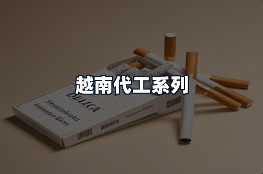 越南代工系列